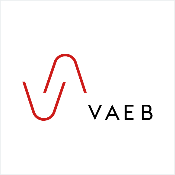 logo vaeb v3
