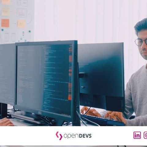 Angestellt oder Freelancer als Software Dev openDEVS Softwareprojekte 2026