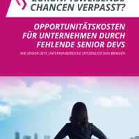 Opportunitätskosten für Unternehmen durch fehlende Senior Devs