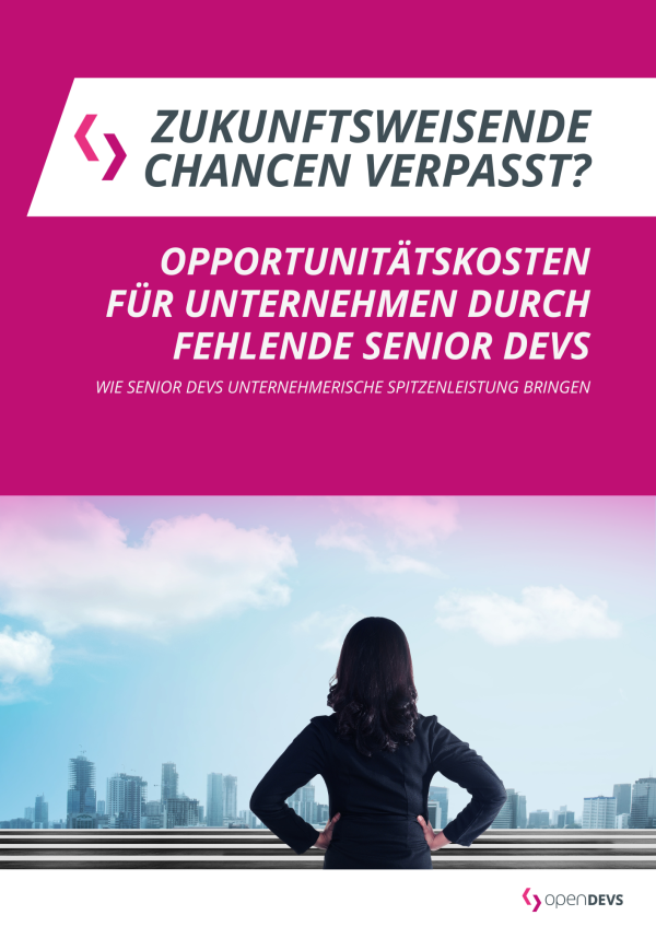 Deckblatt Opportunitaetskosten fuer Unternehmen durch fehlende Devs