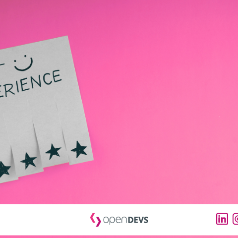 Die richtigen Projekte anziehen als Software Freelancer openDEVS
