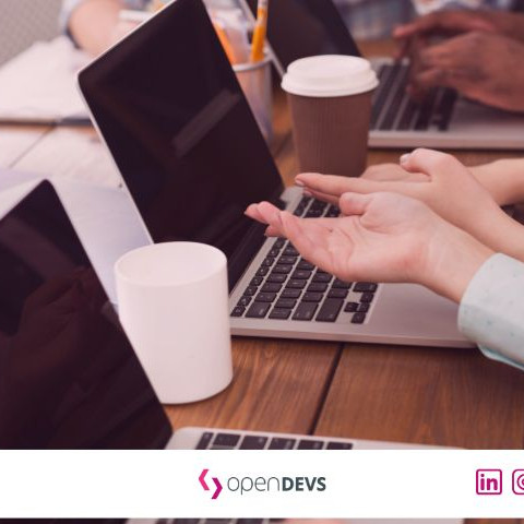 Enterprise Software Projekt retten Skalierung Softwareprojekt openDEVS 2026