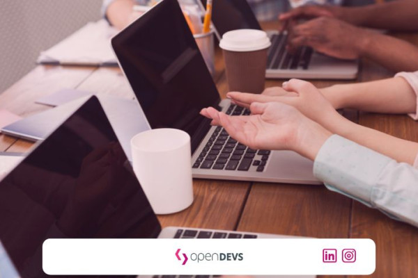 Enterprise Software Projekt retten Skalierung Softwareprojekt openDEVS 2026