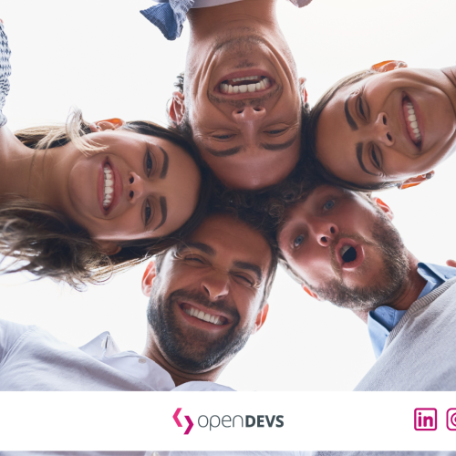 Gruppendynamik in IT Abteilung Software Abteilungen openDEVS