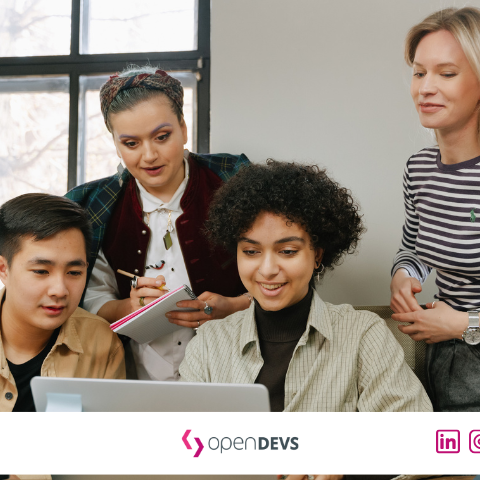 IT Freelancer Oesterreich 2026 openDEVS Software Developer Wien