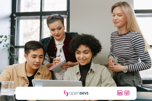 IT Freelancer Oesterreich 2026 openDEVS Software Developer Wien