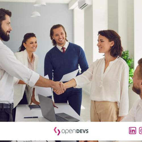IT Freelancer grosse Kunden finden openDEVS