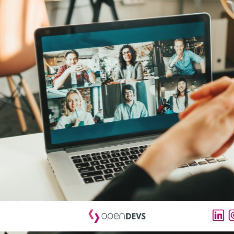 Nearshore Offshore Software Projekte Risiken openDEVS Senior Developer finden