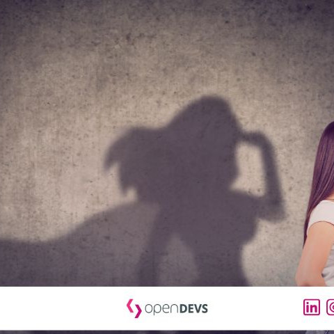 Softwareprojekt Probleme Herausforderungen IT Projektmanagement openDEVS 2026