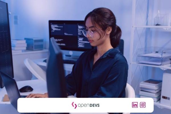 Tech Lead als Senior Software Freelancer openDEVS