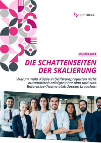 Die Schattenseiten der Skalierung
