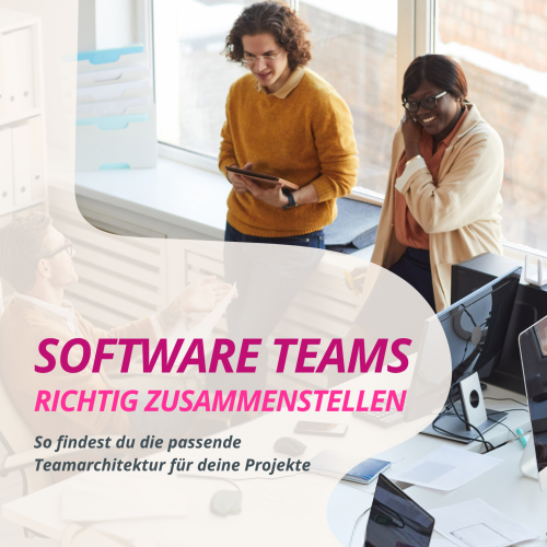 Whitepaper Software Teams richtig zusammenstellen openDEVS