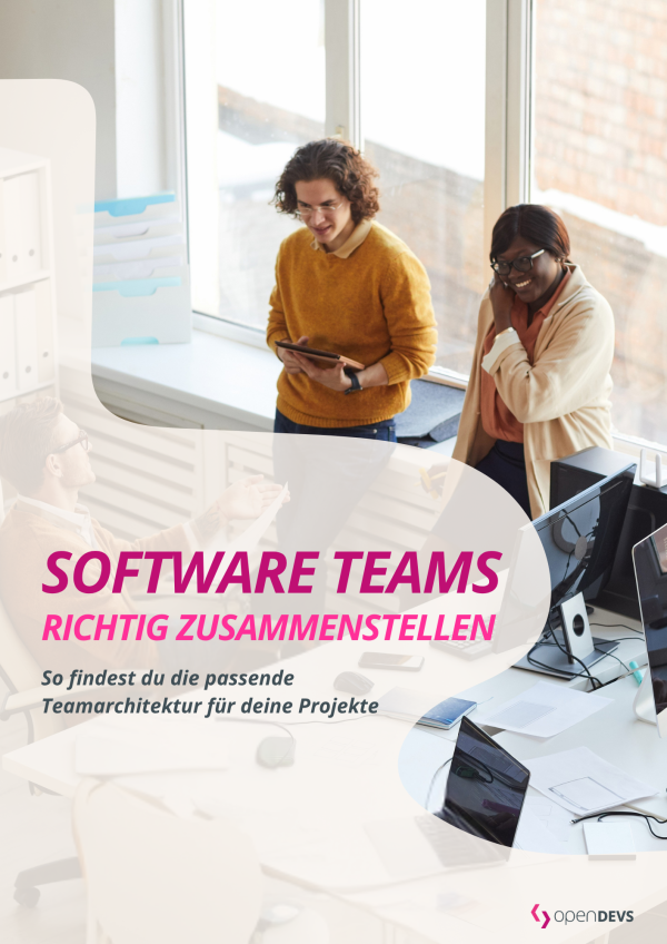 Whitepaper Software Teams richtig zusammenstellen openDEVS