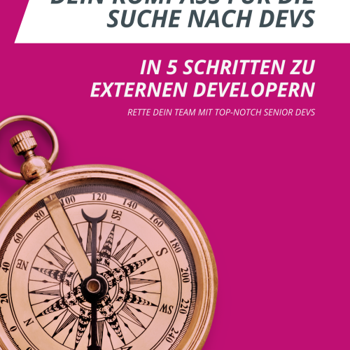 Whitepaper openDEVS Dein Kompass fuer die Suche nach Devs