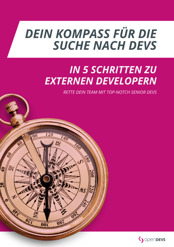 Whitepaper openDEVS Dein Kompass fuer die Suche nach Devs